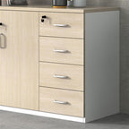 Cabinet File Cabinet Wooden Storage Cabinet Two Doors Four Storage Cabinets Data Storage Cabinet 4ft Office File Cabinet with Lock