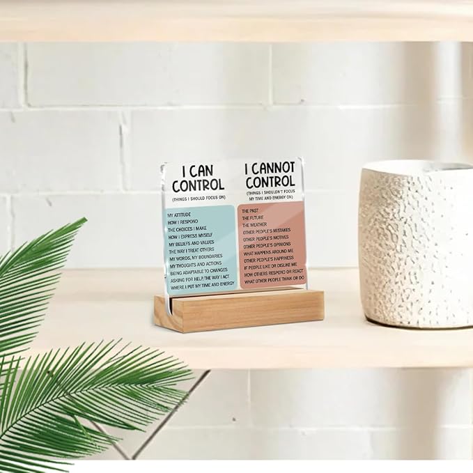 Mental Health Desk Decor Things I Can Control Acrylic Sign, Inspirational Gifts - Image 5