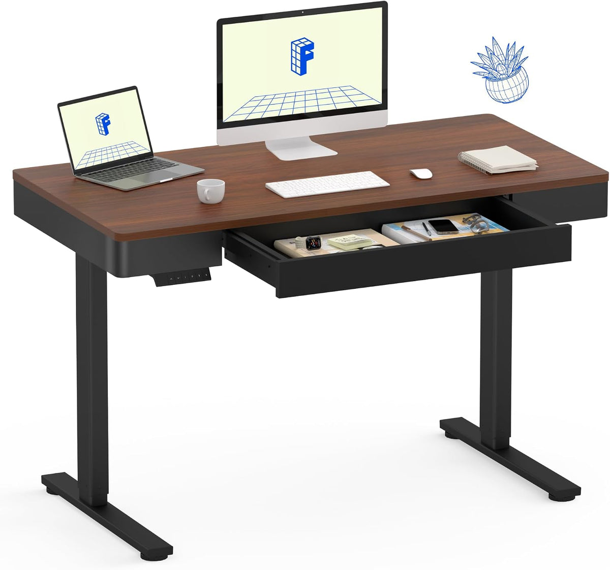 FLEXISPOT Q5 Standing Desk
