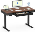 FLEXISPOT Q5 Standing Desk by FlexiSpot