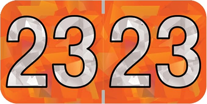 2023 Year Stickers, Doctor Stuff 2023 Chart Stickers, Holographic Orange Colored by DoctorStuff