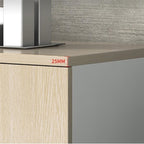 Cabinet File Cabinet Wooden Storage Cabinet Two Doors Four Storage Cabinets Data Storage Cabinet 4ft Office File Cabinet with Lock
