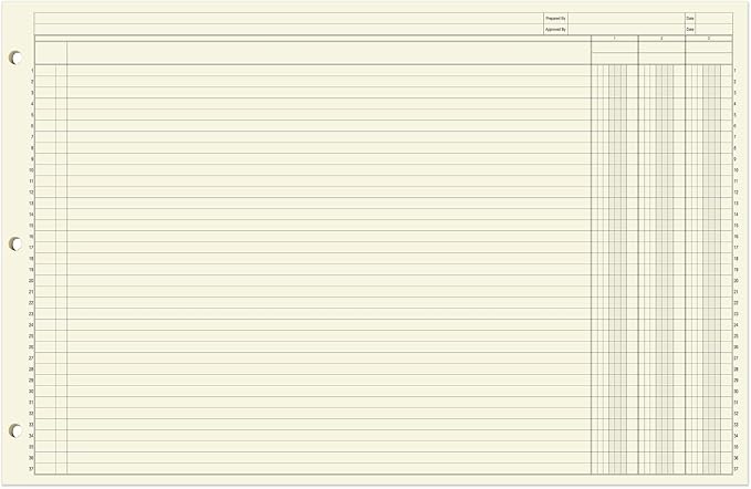 BookFactory Ledger Sheets/Large 3 Column Accounting Ledger Columnar Loose Leaf - Image 2