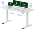 FLEXISPOT 63x28 Inch Large Dual Motor Electric Standing Desk, Home Office Desk by FlexiSpot