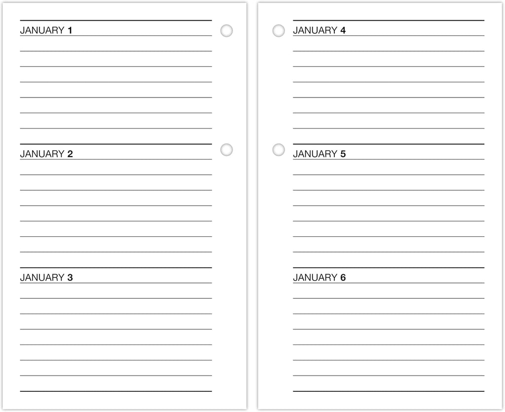 AT-A-GLANCE 2027 Desk Calendar Refill for E1700 Base, Daily Desk Pad Refill, 3.5" x 6", Standard, Loose-Leaf (E7175027)
