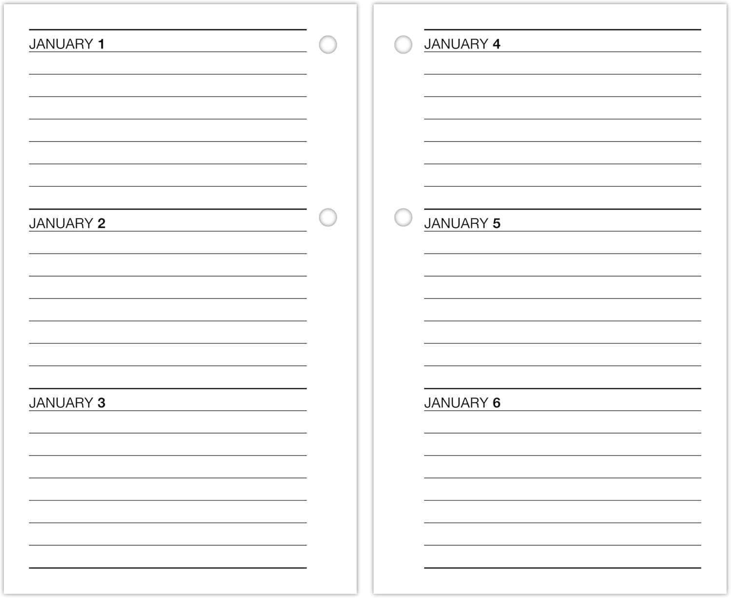 AT-A-GLANCE 2027 Desk Calendar Refill for E1700 Base, Daily Desk Pad Refill, 3.5" x 6", Standard, Loose-Leaf (E7175027)