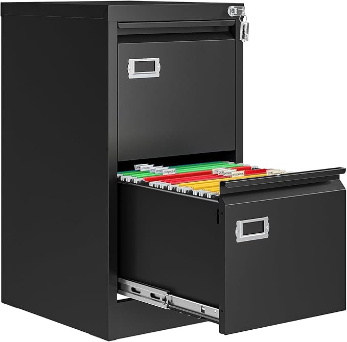 AFAIF 2 Drawer File Cabinet by AFAIF