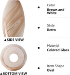Fixture Replacement Globe Shade, Lampshade - Image 4