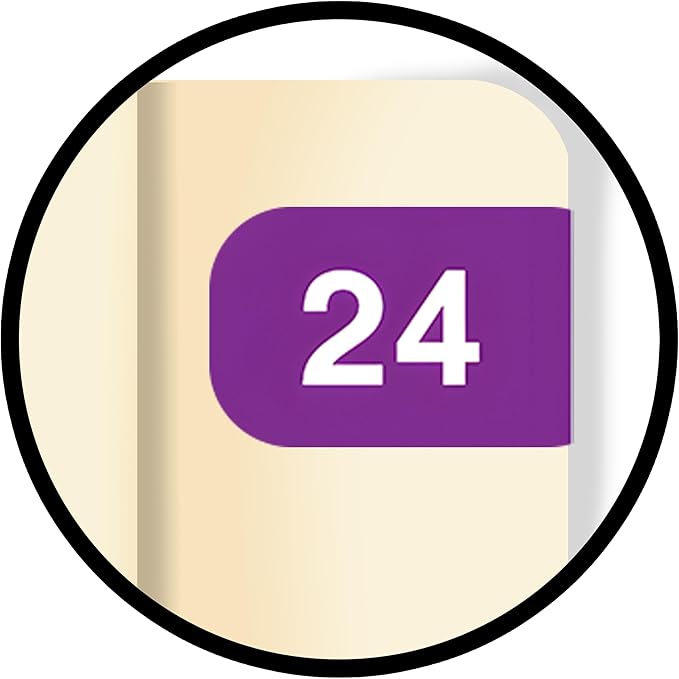2024 MINI Year Labels, Doctor Stuff 2024 Chart Stickers, Ames Small Style - Image 8
