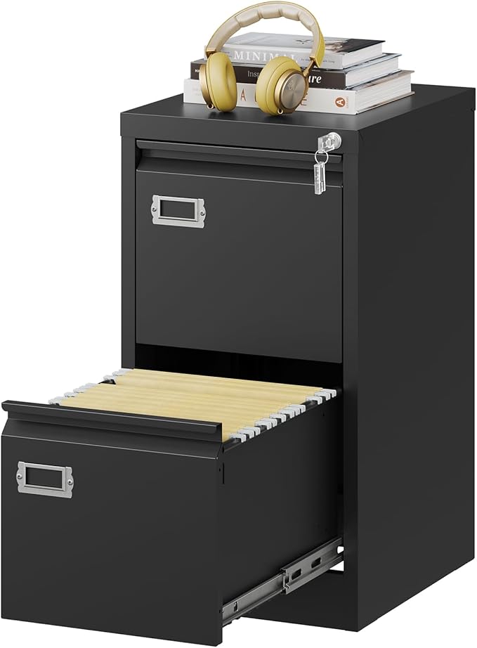Fesbos 2 Drawers Vertical File Cabinets by Fesbos