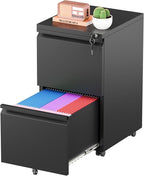 Greenvelly 2 Drawer Mobile File Cabinet by Greenvelly