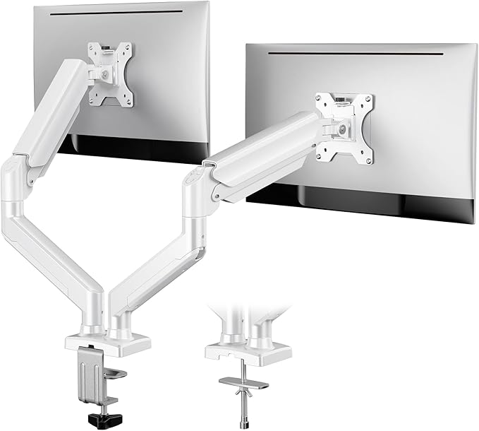 ErGear Dual Monitor Stand up to 32 inches Screen, Load-Bearing Max 22 lbs Each by ErGear