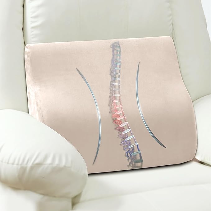 AHUAWA Lumbar Support Pillow for Recliner Chair and Couch, Memory Foam Back by AHUAWA