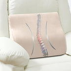 AHUAWA Lumbar Support Pillow for Recliner Chair and Couch, Memory Foam Back by AHUAWA