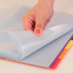 grafoplas 39834100 – 40 Pockets, A4, Folder Dividers, Transparent