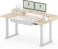 FLEXISPOT 4-Leg Standing Desk by FlexiSpot