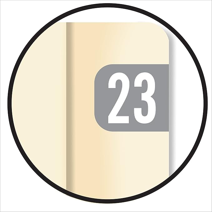 2023 MINI Year Stickers, Doctor Stuff 2023 Chart Stickers, Tab 1287 Style - Image 8