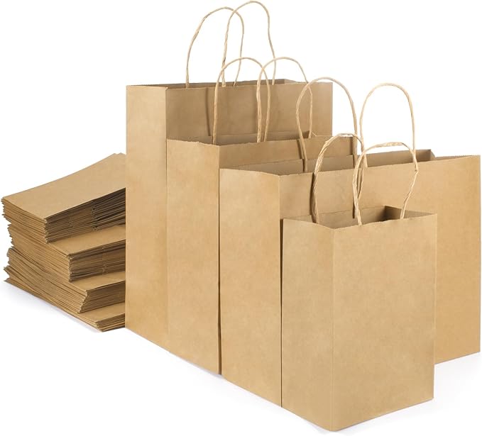 woric 120 PCS Brown Paper Bags by woric