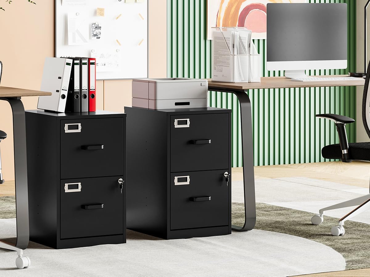 MIIIKO 2 Drawer File Cabinet with Lock, Metal Locking Filing Cabinets for Hom...