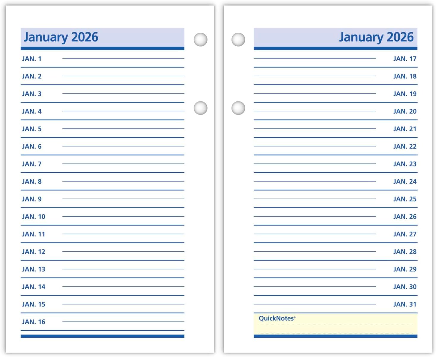 AT-A-GLANCE 2025 Desk Calendar Refill, Daily, 3-1/2" x 6", Standard, Loose-Leaf, QuickNotes (E5175025)