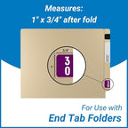 Doctor Stuff - File Folder Labels, Terminal Digit Filing, Consecutive Double - Image 5