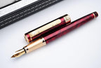 czxwyst Picasso 902 Gentleman Collection Fountain Pen Original Box - Image 2