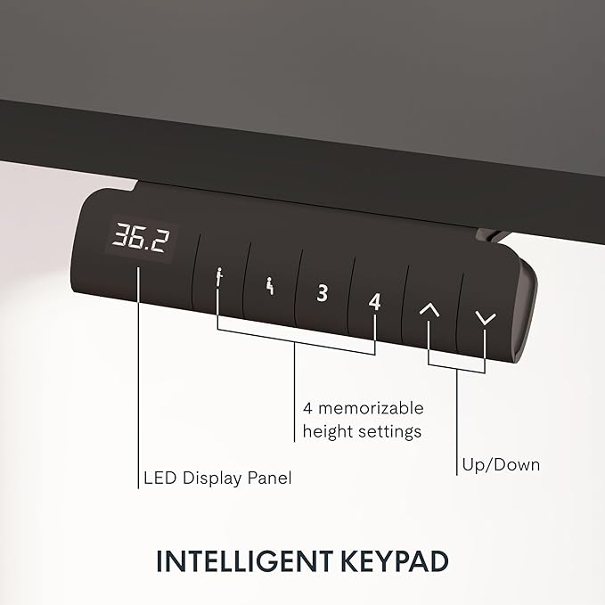 FlexiSpot E6 3-Stage Dual Motor Electric Standing Desk 48 x 30 Sit Stand Up Desk - Image 4