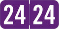 2024 Year Labels, Doctor Stuff 2024 Chart Stickers, S & W/Acme Style, USA Made by DoctorStuff