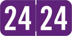 2024 Year Labels, Doctor Stuff 2024 Chart Stickers, S & W/Acme Style, USA Made by DoctorStuff