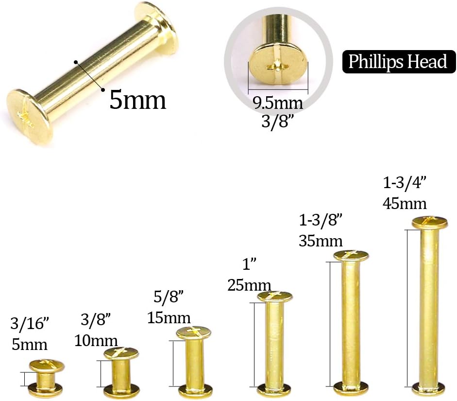 Hilitchi 120-Sets M5 x 5/10 / 15/25 / 35/45 Brass Plated Phillips Chicago Screw Posts Binding Screws Assortment Kit for Scrapbook Photo Albums Binding, Leather Repair - Gold
