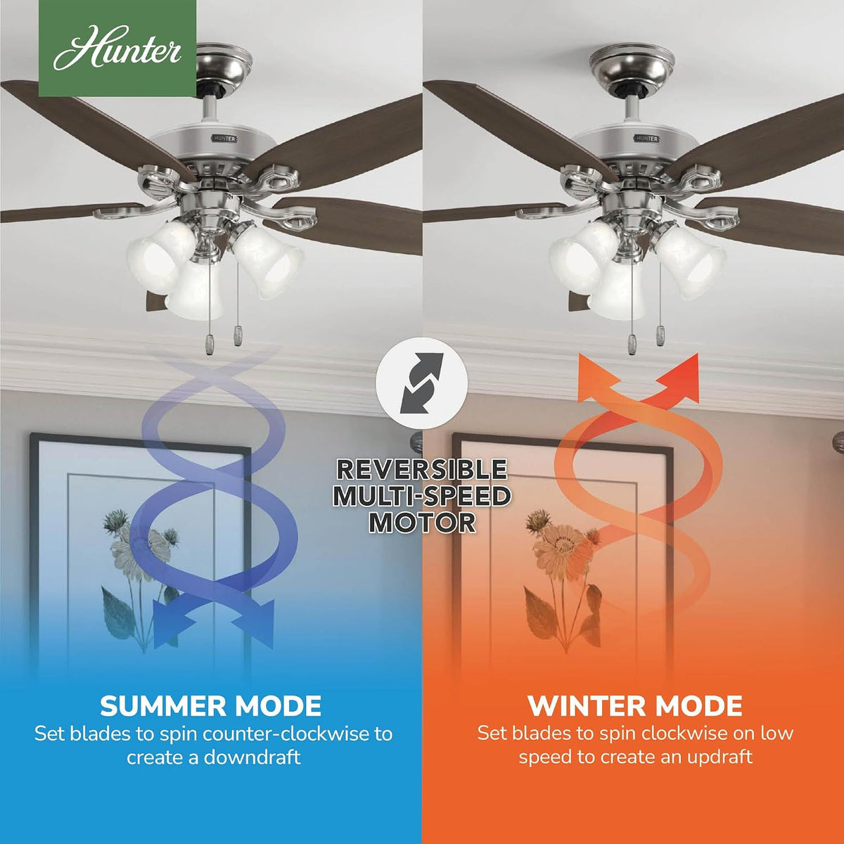 hunter builder plus, indoor, ceiling fan, 5 blades, side view