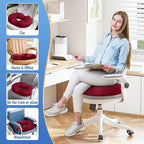 CloudBliss Donut Pillow Seat Cushion Chair Pad - Image 6