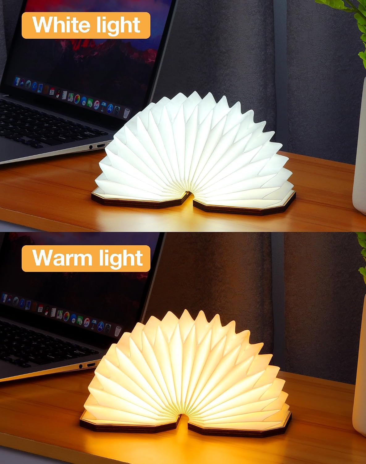 Originality Folding Accordion Lamp, Japanese Gift, LED Paper Lantern