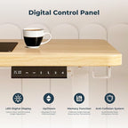 FitStand Adjustable Stand Up Desk - Image 5