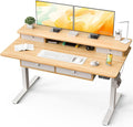 Kingant 55 x 30 Inch Electric Standing Desk by KINGANT