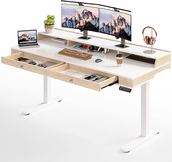 Standing Desk With Drawers, 47x23.6 Inch Electric Stand Up With Storage Shelf by ONBRILL