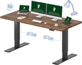 FLEXISPOT 71x32 Inch Large Dual Motor Electric Standing Desk, Creative Studio by FlexiSpot