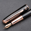 Picasso 916 Malage Fountain Pen Original Box New Version by czxwyst