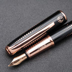 Picasso 916 Malage Fountain Pen Original Box New Version by czxwyst