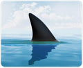 Auhoahsil Mouse Pad, 12 x 10 in Oceans Theme Computer Mouse Pad by Auhoahsil