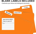 File Folder, RAZCC 100 Pack 1/3 Cut Tab File Folders Letter Size, Folders - Image 4