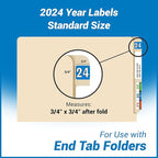 2024 Year Stickers, Doctor Stuff 2024 Chart Stickers, Colwell Jewel Tone Style - Image 4