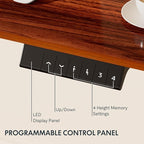 FLEXISPOT EN1 One-Piece Standing Desk - Image 4