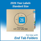 2026 Year Stickers, Doctor Stuff 2026 Chart Stickers, Digi Color Style - Image 3