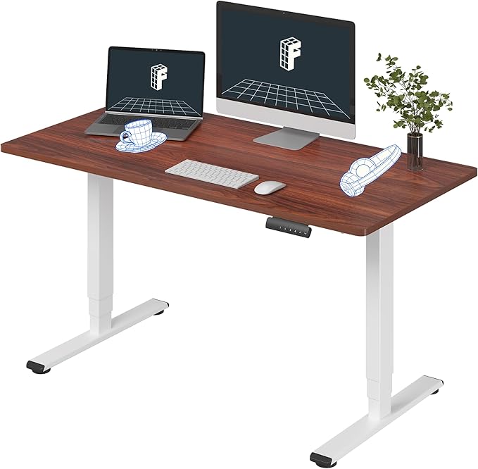 FLEXISPOT E6 3-Stage Dual Motor Electric Standing Desk 55 x 28 Sit Stand Up Desk by FlexiSpot
