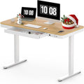 SANODESK Standing Desk with Drawer, Electric Height Adjustable Home Office Desk by sanodesk