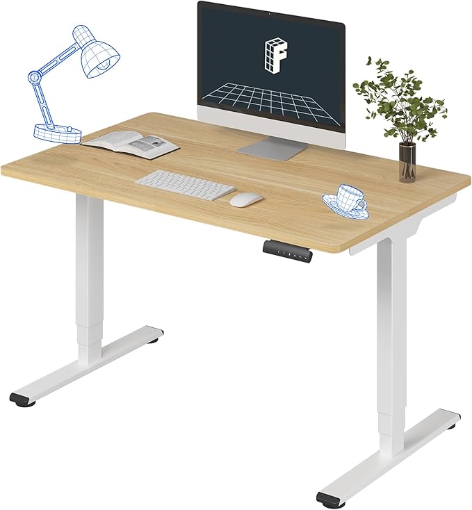 FLEXISPOT E6 3-Stage Dual Motor Electric Standing Desk 48 x 30 Sit Stand Up Desk by FlexiSpot