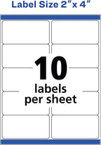 Avery Shipping Labels, 2" x 4", White, 250 Labels | Sure Feed Technology | Pack of 2 | Model 8163