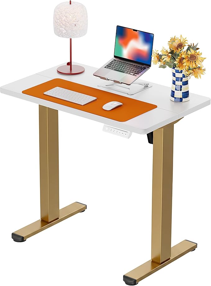ErGear Height Adjustable Electric Standing Desk, 31.5 x 18.9 Inches Sit Stand by ErGear