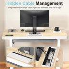 ERGO COLLECT Electric Standing Desk 48 Inch - Image 6
